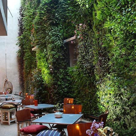 Kook Hotel Tarifa Exteriér fotografie
