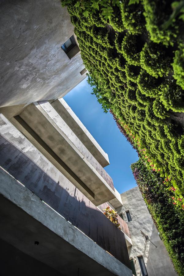 Kook Hotel Tarifa Exteriér fotografie